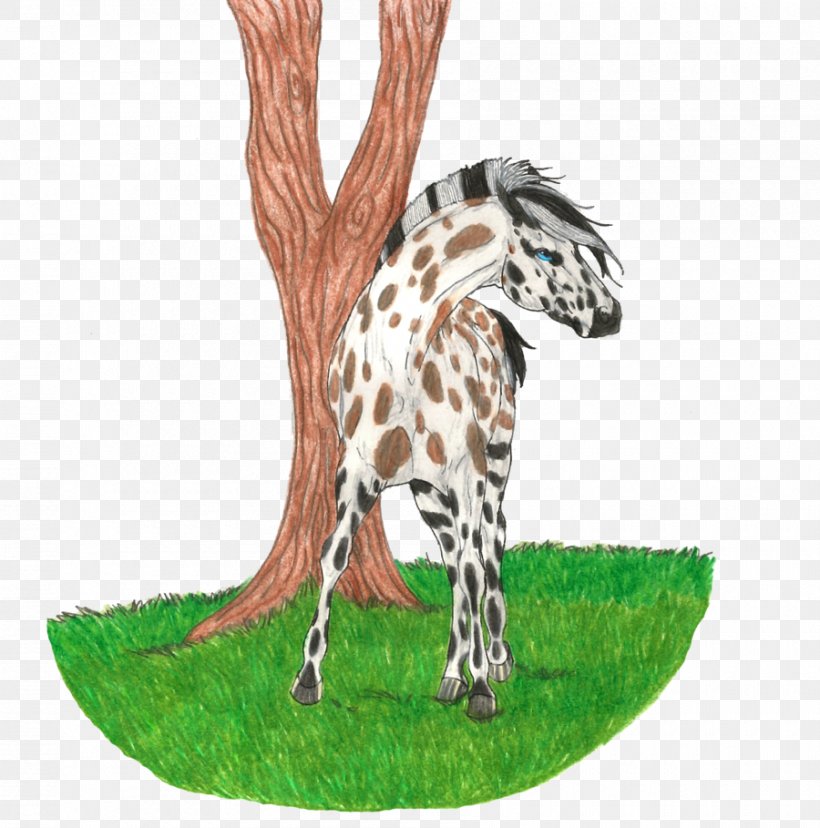 Giraffe Terrestrial Animal Wildlife Tree, PNG, 900x909px, Giraffe, Animal, Fauna, Giraffidae, Grass Download Free