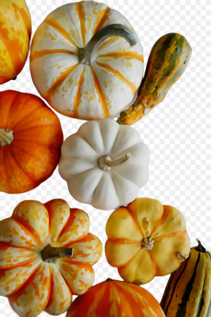 Pumpkin, PNG, 1632x2452px, Watercolor, Calabaza, Cucurbita, Food, Gourd Download Free