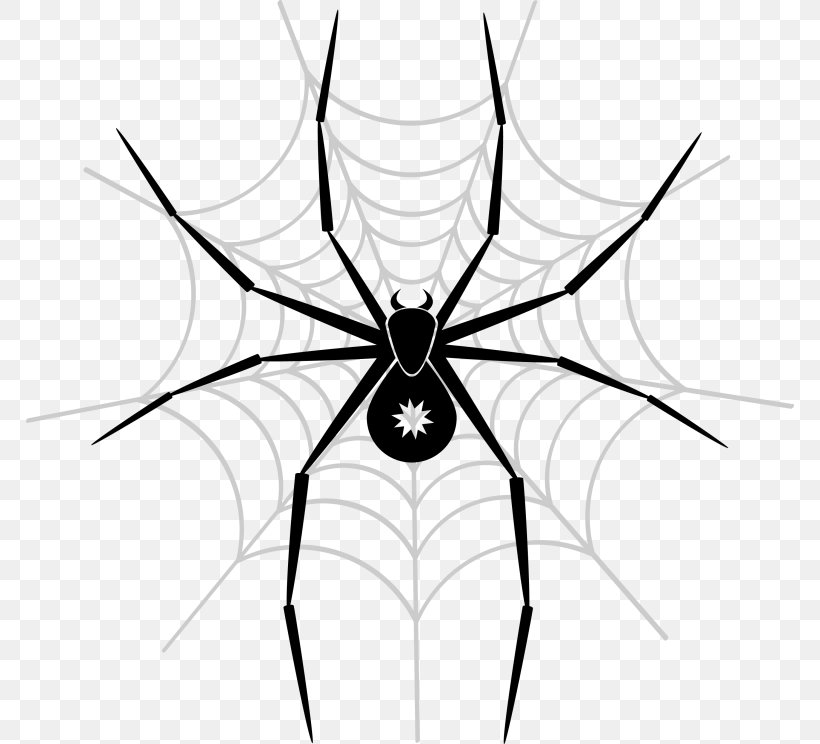 Spider-Man Vector Graphics Spider Web, PNG, 768x744px, Spider, Blackandwhite, Fictional Character, Invertebrate, Line Art Download Free
