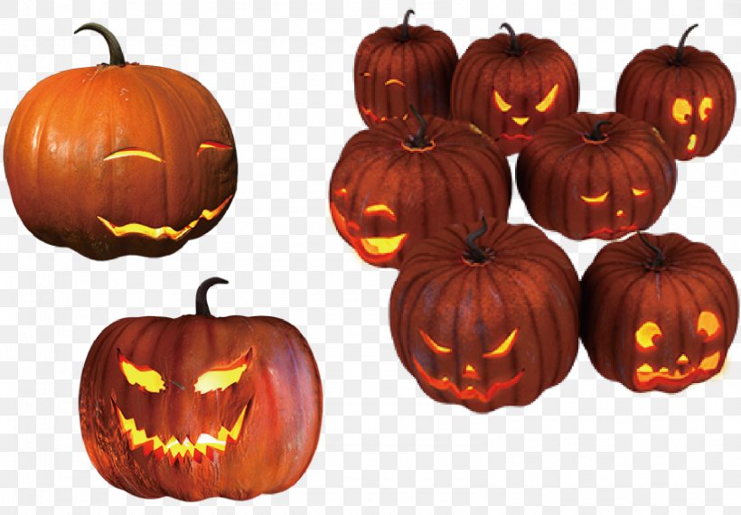 The Halloween Tree Pumpkin Jack-o-lantern, PNG, 1594x1109px, Halloween Tree, Apple Icon Image Format, Black Cat, Calabaza, Candy Download Free