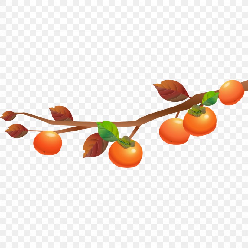 Tomato Vegetable, PNG, 1181x1181px, Tomato, Branch, Cartoon, Cherry, Food Download Free