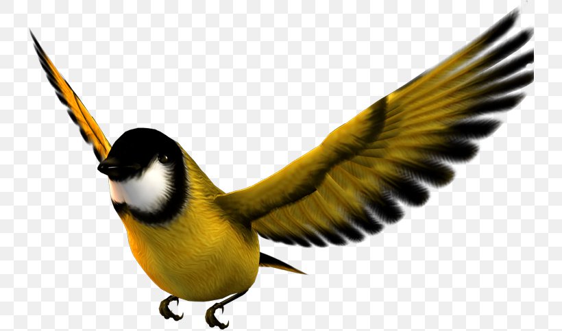 Bird Atlantic Canary Flight Desktop Metaphor, PNG, 738x483px, Bird, Animal, Atlantic Canary, Beak, Desktop Environment Download Free