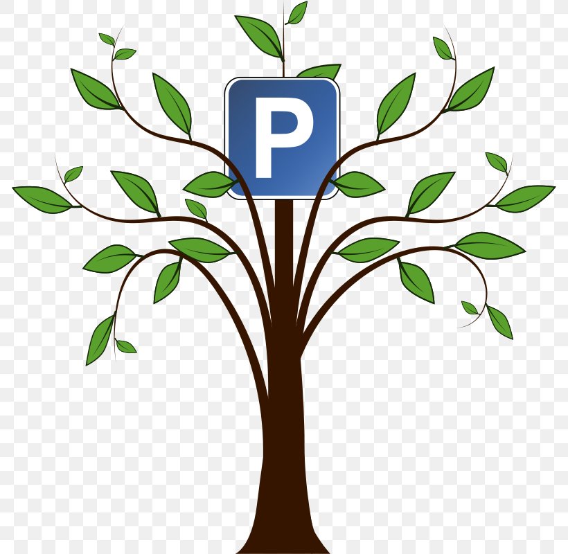 Tree Clip Art, PNG, 786x800px, Tree, Artwork, Branch, Car Park, Drawing Download Free