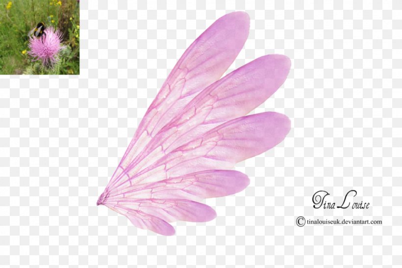 Fairy Clip Art, PNG, 1024x683px, Watercolor, Cartoon, Flower, Frame, Heart Download Free