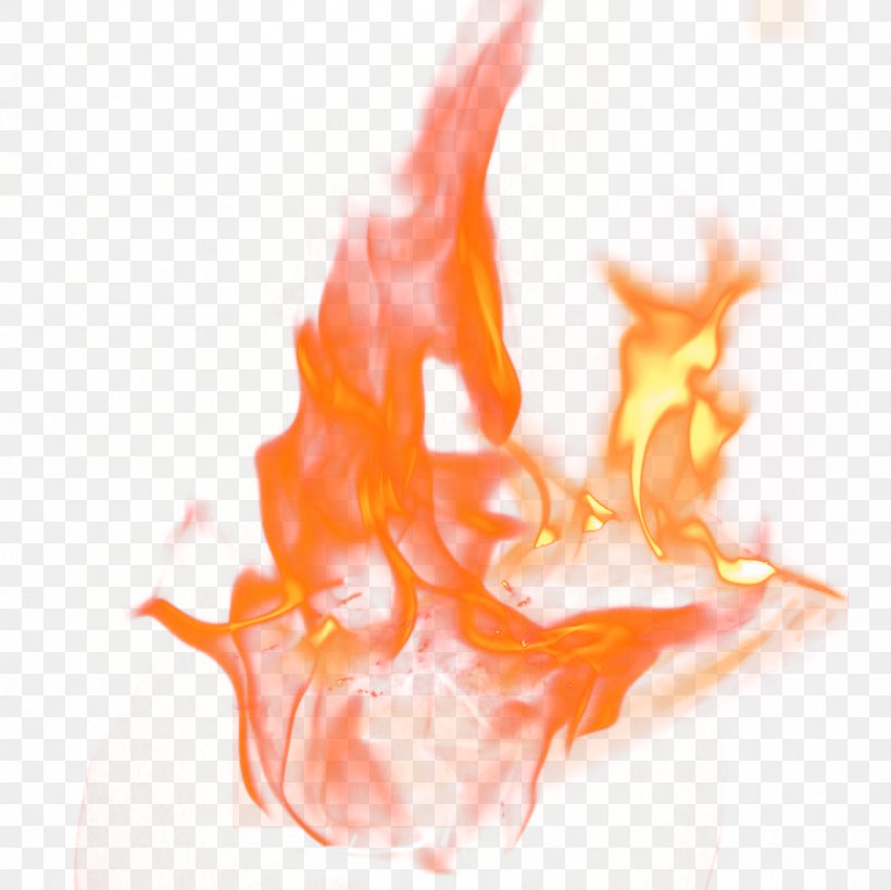Flame Download, PNG, 1181x1181px, Flame, Combustion, Designer, Orange, Peach Download Free