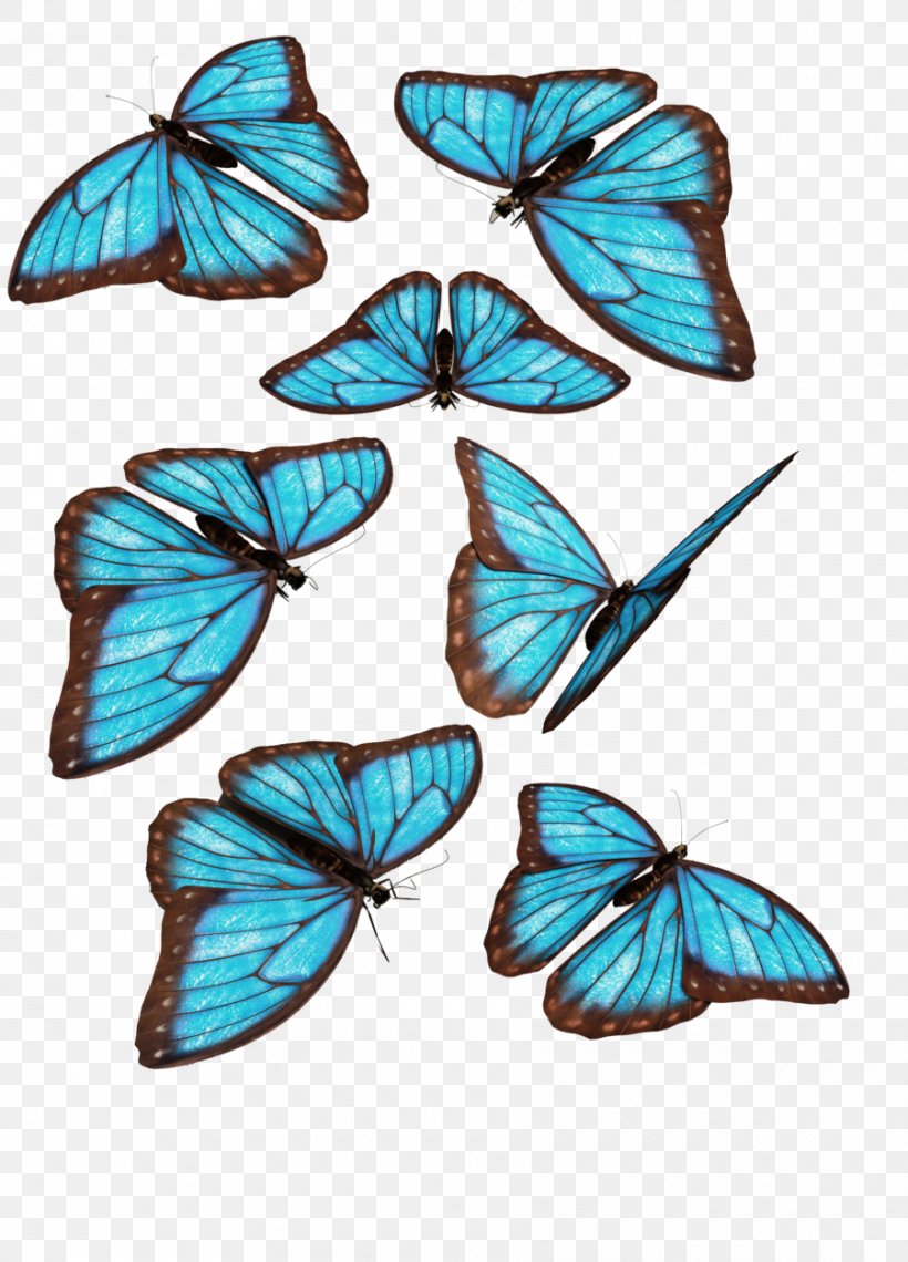 Monarch Butterfly Morpho Menelaus Blue, PNG, 900x1252px, Butterfly, Blue, Brush Footed Butterfly, Color, Drawing Download Free