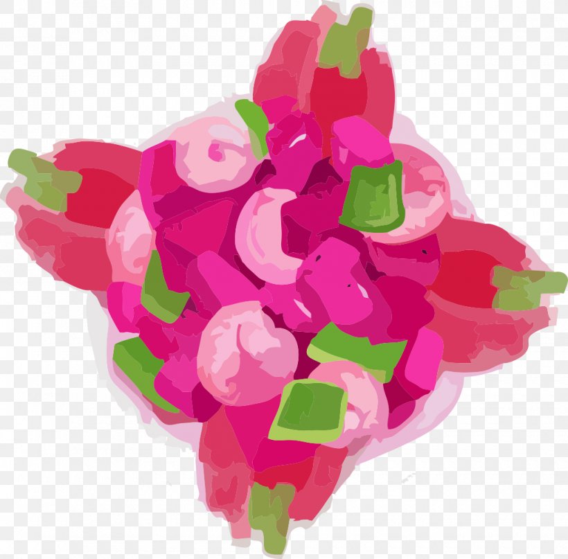 Pitaya Hylocereus Undatus, PNG, 1020x1004px, Pitaya, Cut Flowers, Designer, Flower, Flowering Plant Download Free
