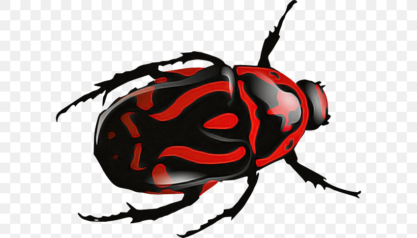 Beetles Scarabs Dung Beetle Colorado Potato Beetle Ladybugs, PNG, 600x468px, Beetles, Colorado Potato Beetle, Drawing, Dung Beetle, Green June Beetle Download Free