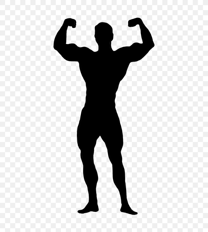 Bodybuilding Standing Clip Art Muscle Silhouette, PNG, 470x915px, Bodybuilding, Muscle, Silhouette, Standing Download Free
