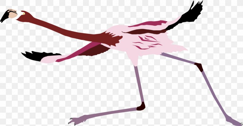 Pink M Beak Neck, PNG, 1241x644px, Pink M, Beak, Bird, Flamingo, Neck Download Free