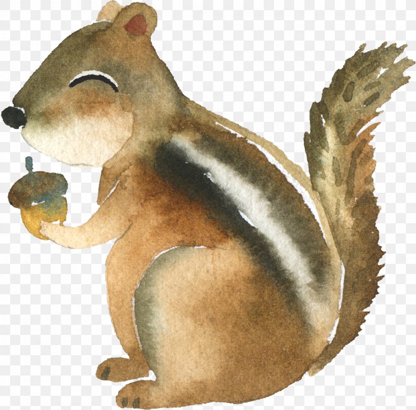 Zanj Sun Squirrel Mug Poison Boyfriend, PNG, 1513x1491px, Zanj Sun Squirrel, Boyfriend, Chipmunk, Couple, Etsy Download Free