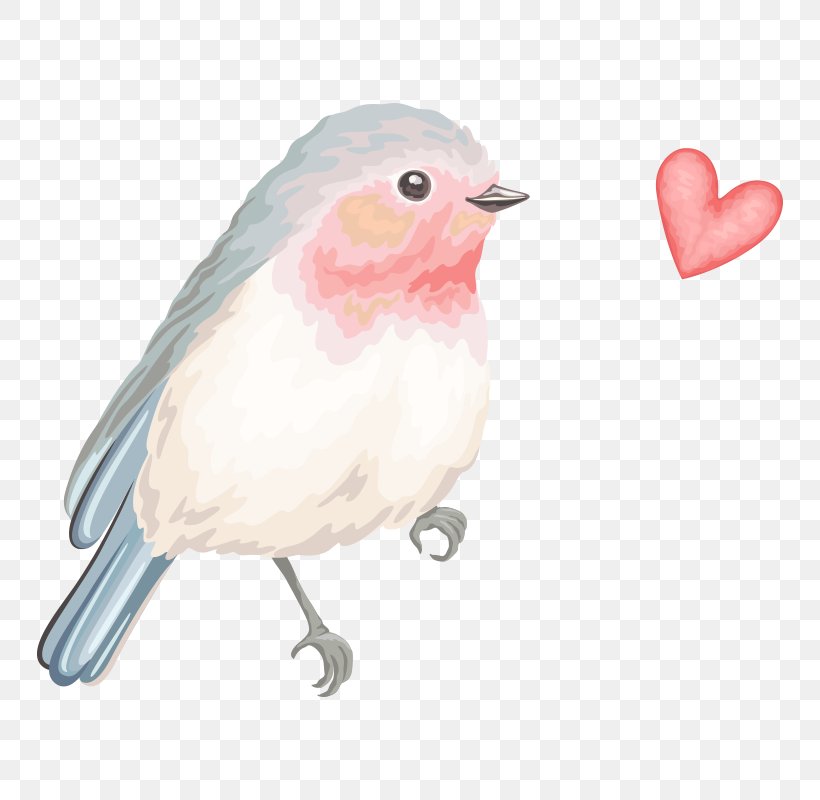 Bird Sparrow Image Download Graphics, PNG, 800x800px, Bird, Beak, Feather, Finch, Perching Bird Download Free