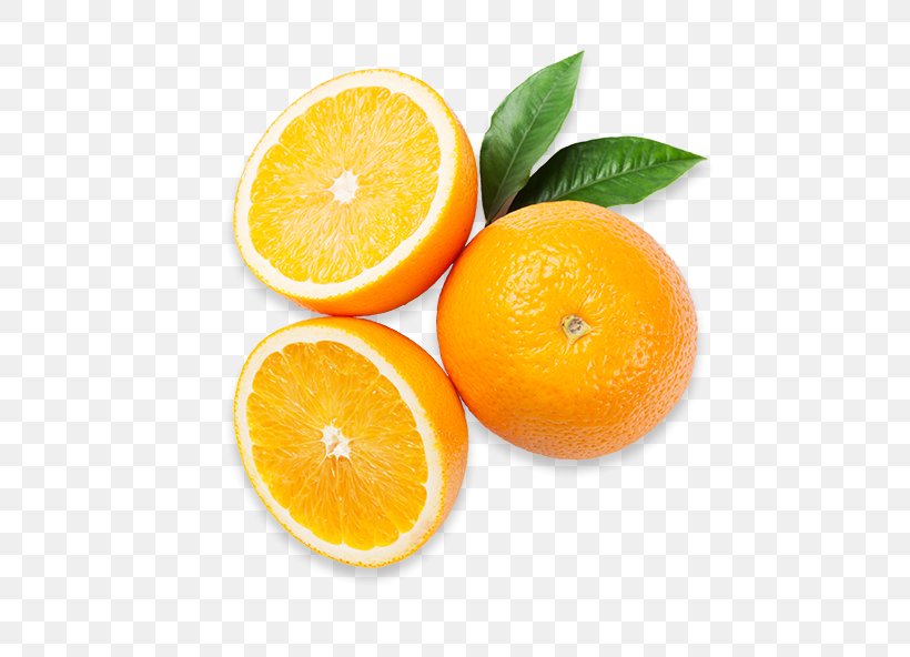 Blood Orange Juice Tangelo Vegetable, PNG, 640x592px, Blood Orange, Bitter Orange, Citric Acid, Citrus, Clementine Download Free