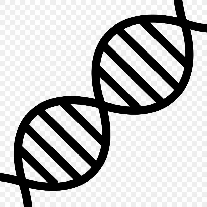 DNA Clip Art Genetics Nucleic Acid Double Helix, PNG, 981x981px, Dna, Adna, Black And White, Gene, Genetics Download Free