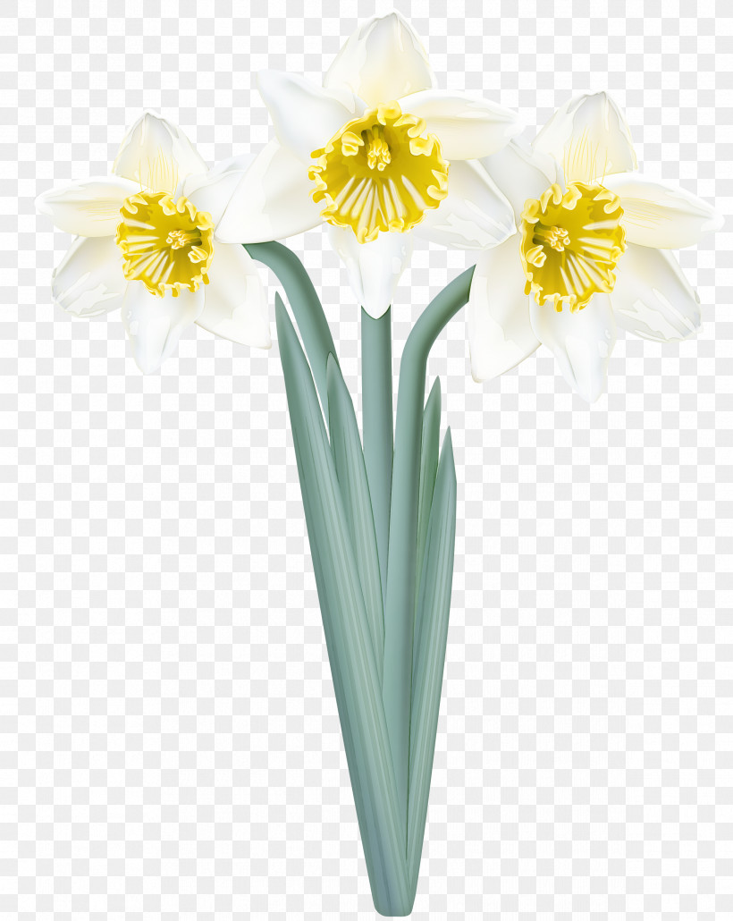 Flower Yellow Narcissus Plant Petal, PNG, 2387x3000px, Flower, Amaryllis Family, Cut Flowers, Narcissus, Paperwhite Download Free