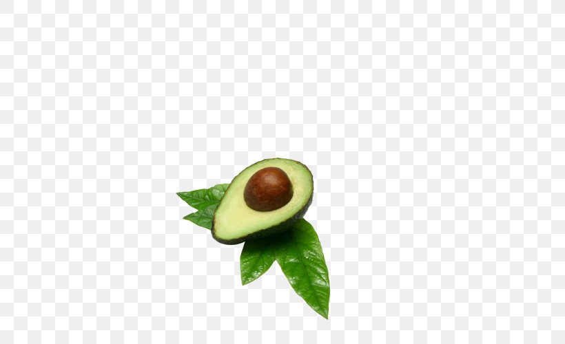 Hass Avocado Icon, PNG, 500x500px, Hass Avocado, Avocado, Food, Fruit, Fruit Tree Download Free