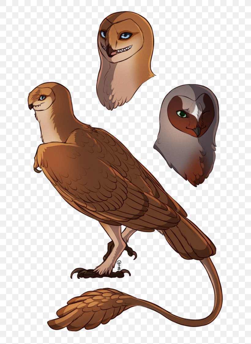 Owl Beak Cartoon Neck, PNG, 712x1123px, Owl, Beak, Bird, Bird Of Prey, Cartoon Download Free