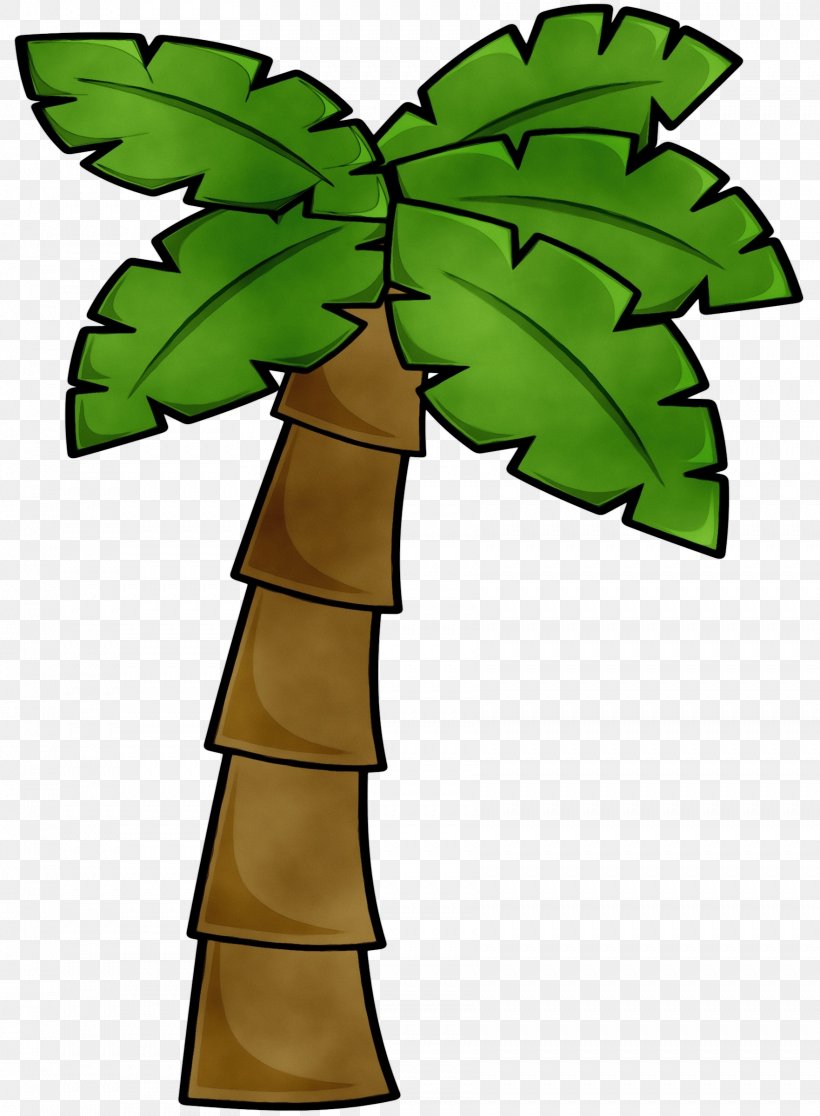 Palm Tree Drawing, PNG, 1763x2400px, Watercolor, Arecales, Beach Bunny, Botany, Drawing Download Free