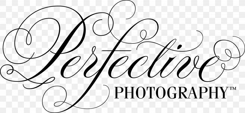 Photography Black And White Logo Calligraphy, PNG, 3054x1408px, Photography, Area, Art, Black, Black And White Download Free