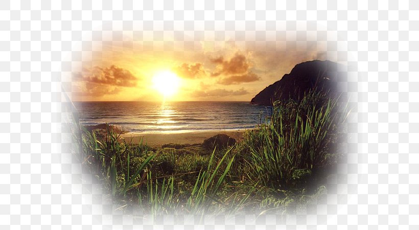 Sunset Landscape Painting Astre, PNG, 600x450px, Sunset, Adobe Premiere Pro, Ansichtkaart, Astre, Calm Download Free