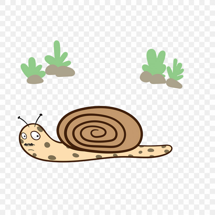 Gastropods Snail Snail Vector Slug, PNG, 1440x1440px, Gastropods, Drawing, Mollusca, Slug, Snail Download Free