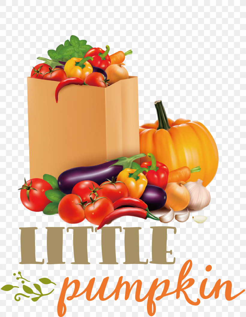 Little Pumpkin Thanksgiving Autumn, PNG, 2078x2681px, Little Pumpkin, Aubergine, Autumn, Bag, Fresh Vegetable Download Free