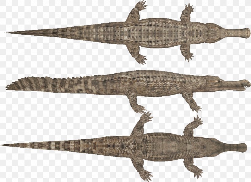 Nile Crocodile Sarcosuchus Ornithocheirus Pteranodon, PNG, 1030x746px, Nile Crocodile, Alligator, American Alligator, Chased By Dinosaurs, Crocodile Download Free