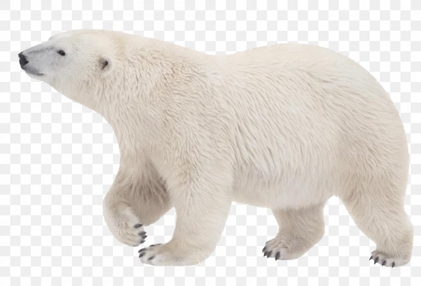 Polar Bear Kodiak Bear Arctic Clip Art, PNG, 1000x681px, Polar Bear, Animal Figure, Arctic, Bear, Bears Download Free