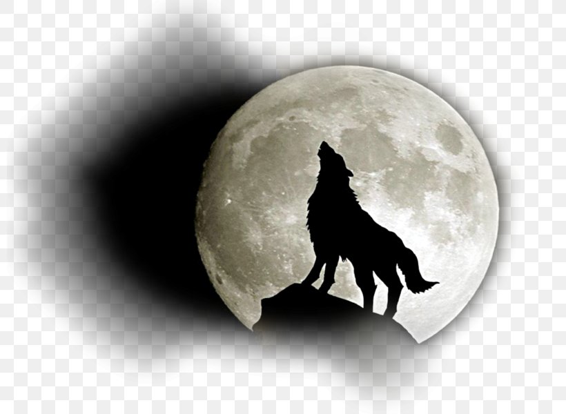 Siberian Husky Full Moon Black Wolf Wolfdog, PNG, 800x600px, Siberian Husky, Animal, Arctic Wolf, Aullido, Black And White Download Free
