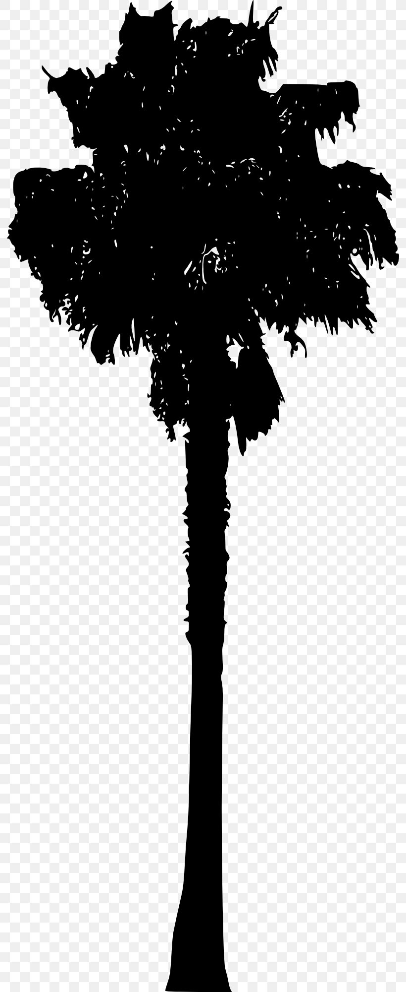 Arecaceae Silhouette, PNG, 792x2000px, Arecaceae, Black And White, Branch, Flowering Plant, Leaf Download Free