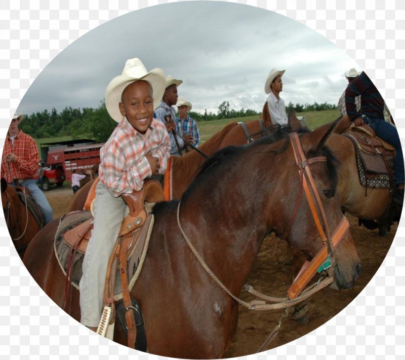 Mare Rein Mustang Stallion Western Riding, PNG, 972x866px, Mare, Bridle, Cowboy, Equestrian, Halter Download Free