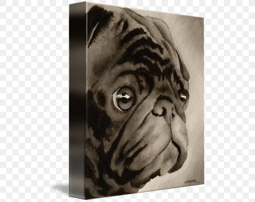 Pug Dog Breed Watercolor Painting Art, PNG, 506x650px, Pug, Art, Art Museum, Artist, Black And White Download Free