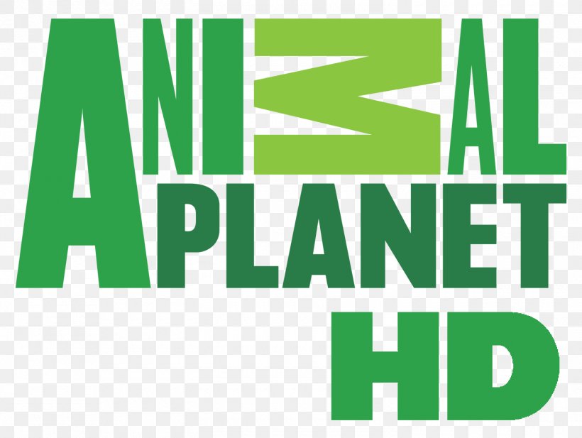 Animal Planet High-definition Television Television Channel, PNG, 1500x1130px, Animal Planet, Ale Kino, Animal Planet Hd, Area, Brand Download Free