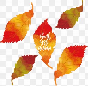 Thanks Autumn - Leaf Autumn Watercolor Painting PNG