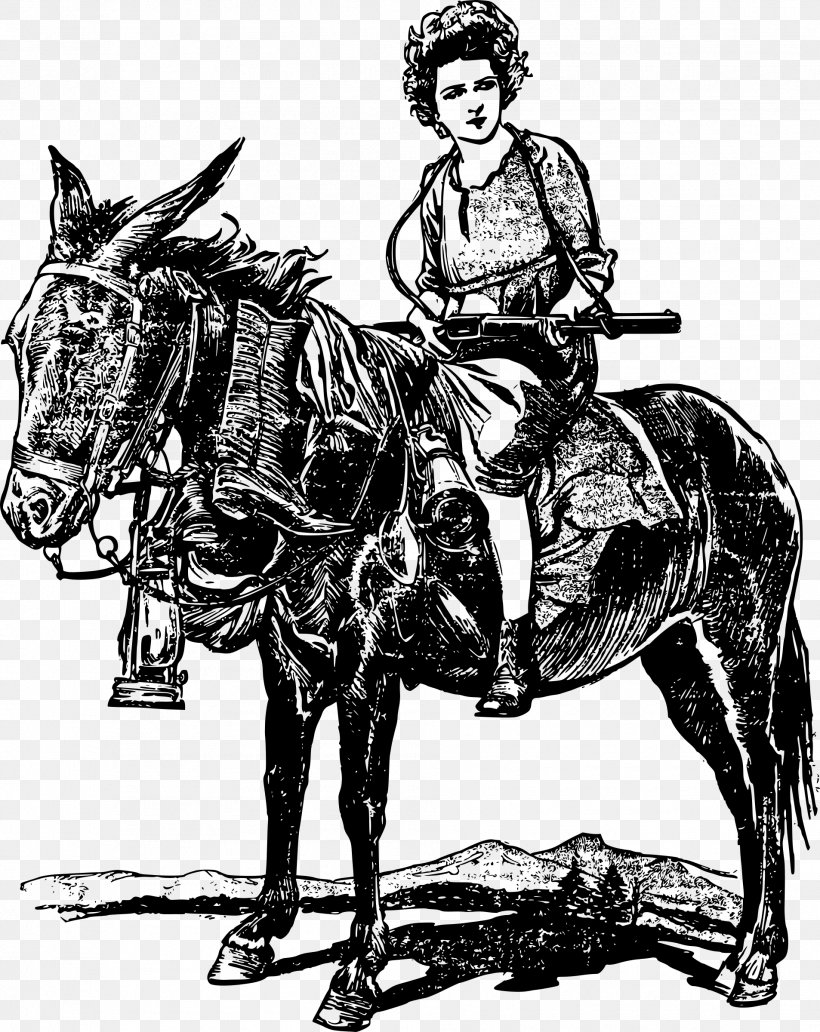 Mule Horse Stallion, PNG, 1906x2400px, Mule, Black And White, Bridle, Chariot, Coachman Download Free