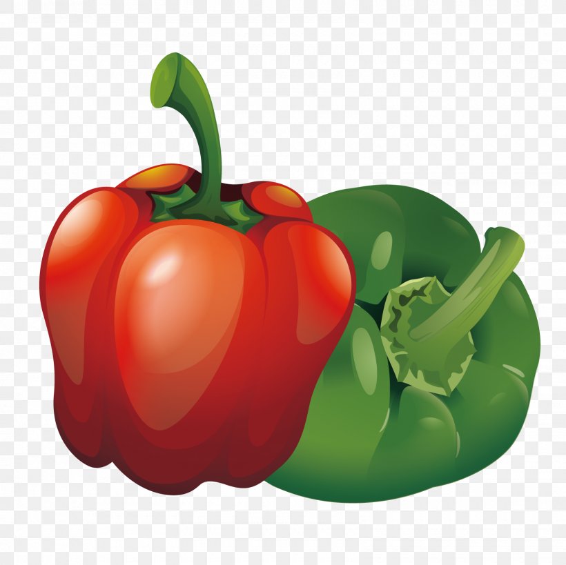 Tabasco Pepper Habanero Cayenne Pepper Bell Pepper Euclidean Vector, PNG, 1600x1600px, Bell Pepper, Apple, Bell Peppers And Chili Peppers, Capsicum, Capsicum Annuum Download Free