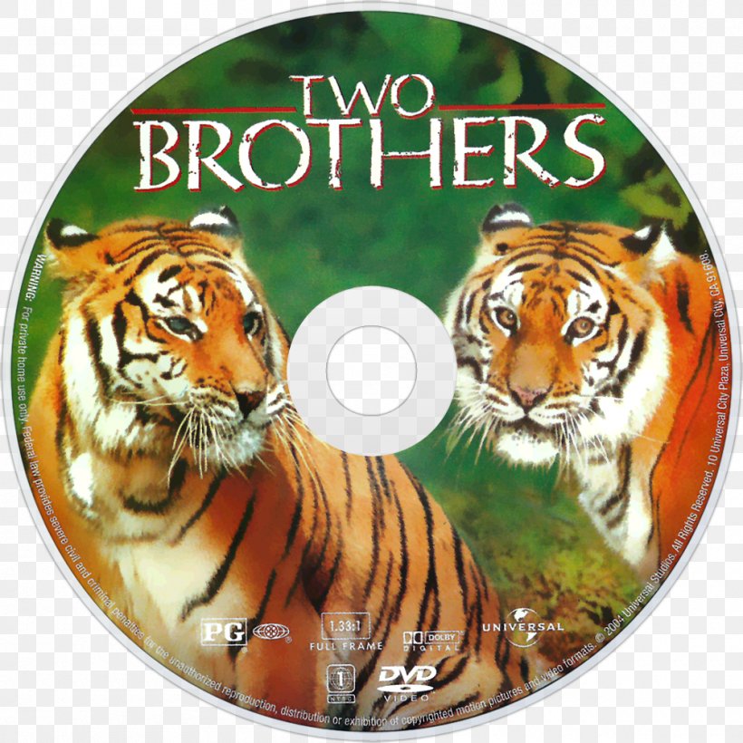 Tiger YouTube Film DVD, PNG, 1000x1000px, Tiger, Big Cats, Brother, Carnivoran, Cat Like Mammal Download Free