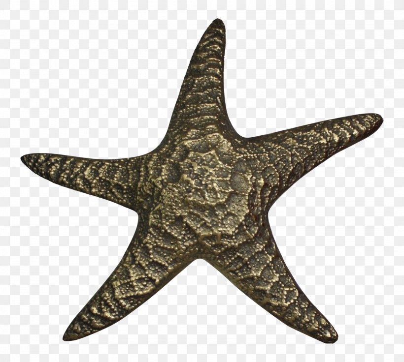 Embroidered Patch Starfish Clothing Amazon.com Sports, PNG, 2141x1922px, Embroidered Patch, Abzeichen, Amazoncom, Blue, Bookcase Download Free