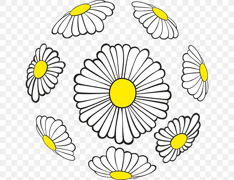 Floral Design Common Daisy Flower Sphere, PNG, 640x630px, Floral Design, Area, Artwork, Ball, Black And White Download Free