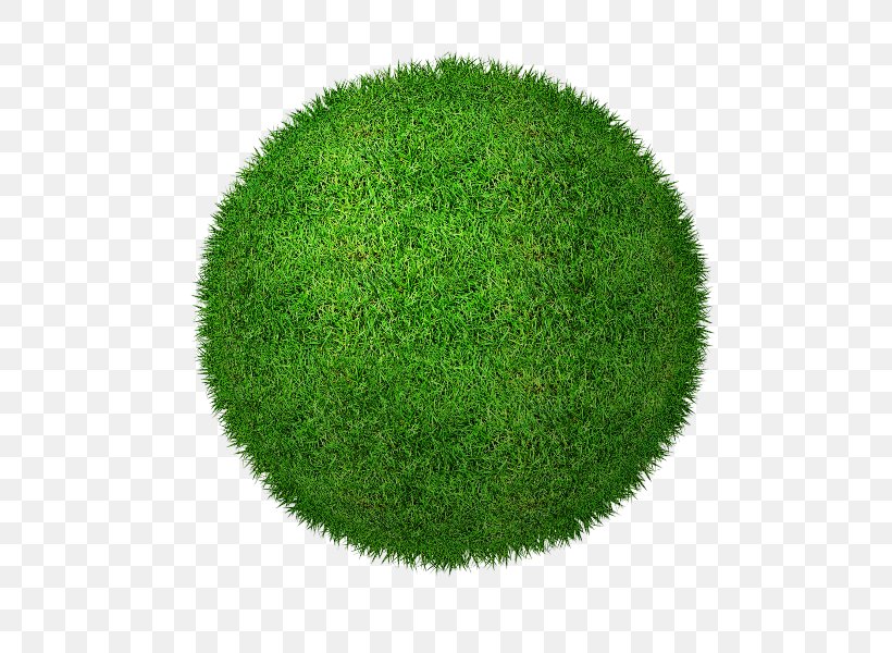 Green Grass Background, PNG, 800x600px, Lawn, Artificial Turf, Ball, Clover, Grass Download Free