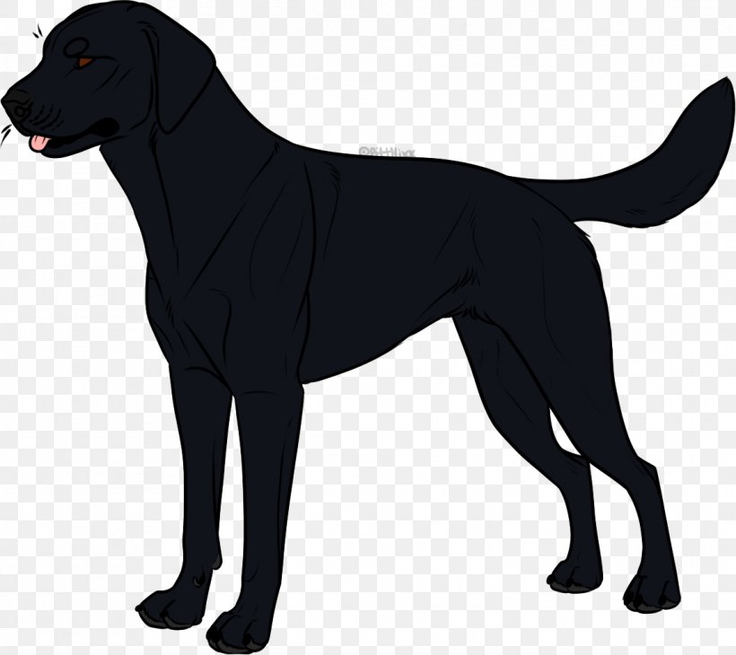 Labrador Retriever Flat-Coated Retriever Puppy Dog Breed Borador, PNG, 1141x1016px, Labrador Retriever, Black, Borador, Breed, Carnivoran Download Free