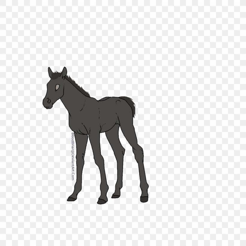 Mule Foal Stallion Colt Pony, PNG, 894x894px, Mule, Animal Figure, Art, Black And White, Bridle Download Free