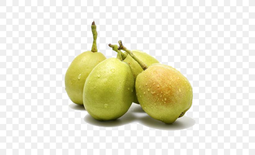 Pear Fruit Avocado Food Apple, PNG, 500x500px, Pear, Apple, Avocado, Citrus, Food Download Free