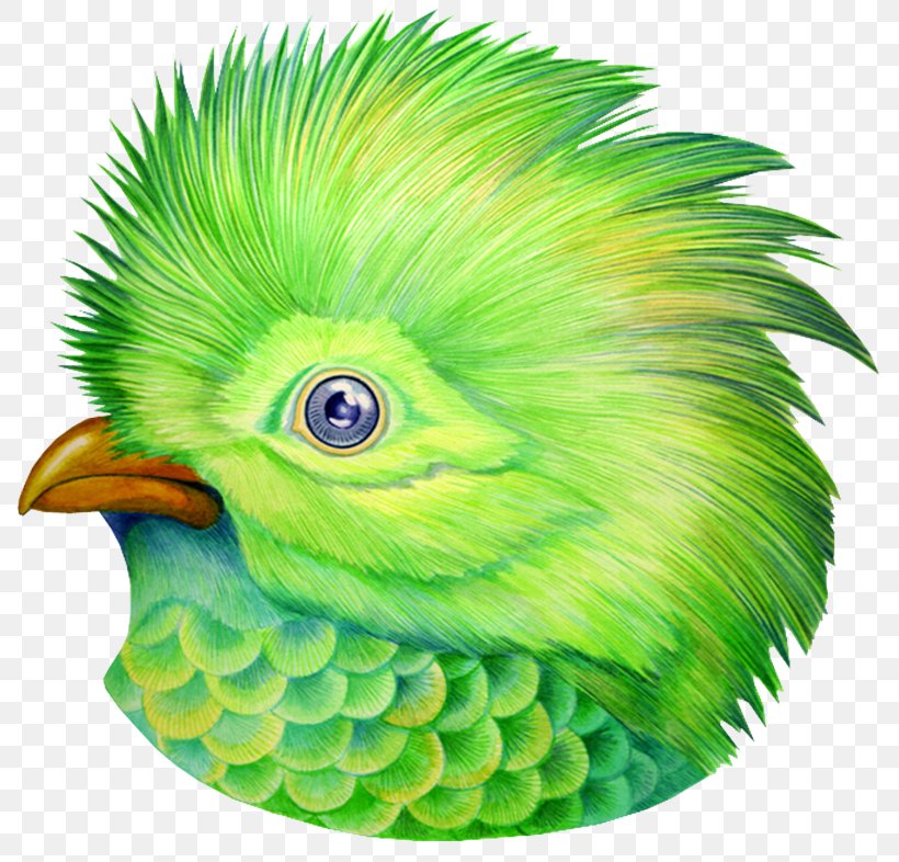 Bird Green Animal, PNG, 800x786px, Bird, Animal, Animal Sauvage, Beak, Bird Nest Download Free
