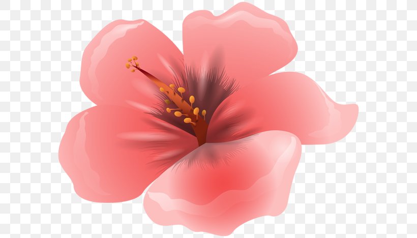 Clip Art Pink Flowers Image Peony, PNG, 600x468px, Pink Flowers, Blossom, Cherry Blossom, Flower, Flowering Plant Download Free