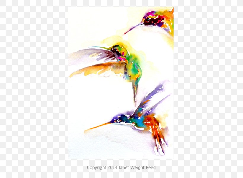 Hummingbird Beak Art Cat, PNG, 600x600px, Hummingbird, Aluminium, Art, Beak, Bird Download Free