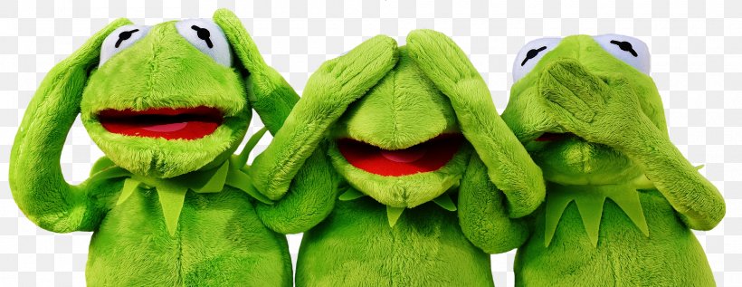 Kermit The Frog Stock.xchng Business Management Stuffed Animals & Cuddly Toys, PNG, 1920x743px, Kermit The Frog, Amphibian, Business, Chief Procurement Officer, Communication Download Free