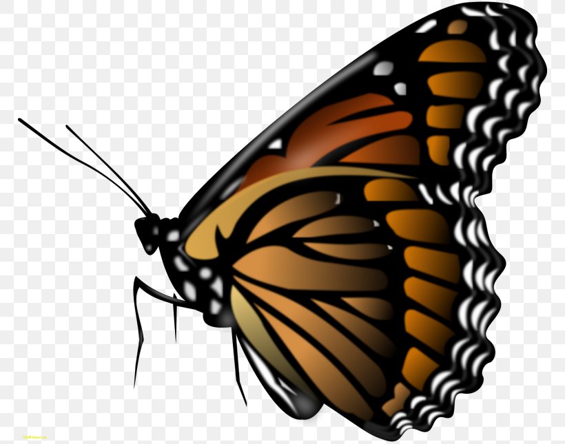 Monarch Butterfly Insect Clip Art, PNG, 768x645px, Butterfly, Arthropod, Brush Footed Butterfly, Color, Coloring Book Download Free