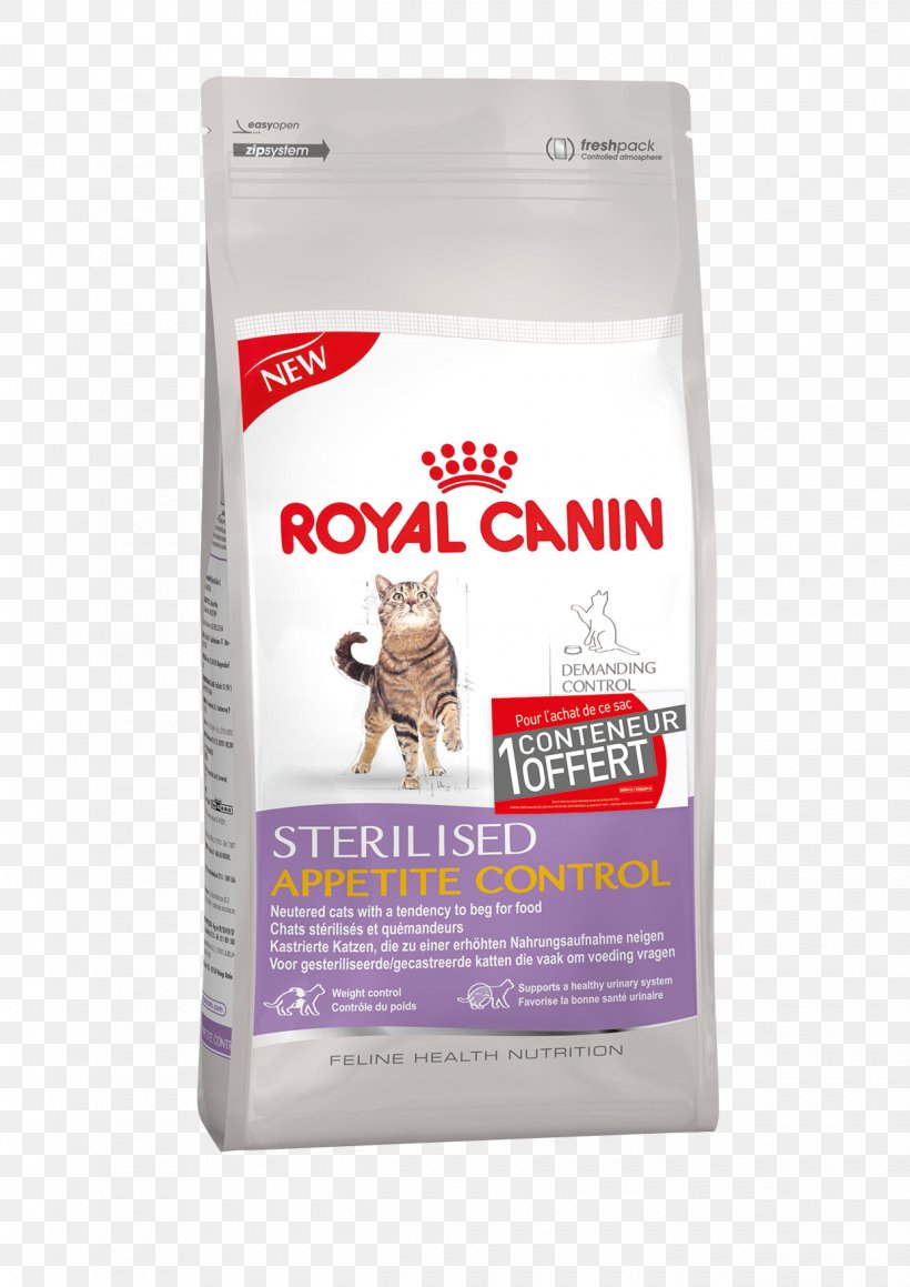 Cat Food Dog Royal Canin Kitten, PNG, 1240x1754px, Cat Food, Cat, Dog, Dog Food, Dog Like Mammal Download Free
