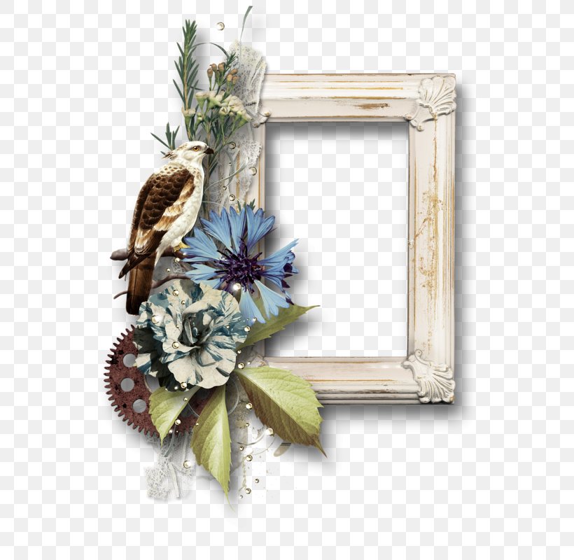 Floral Design Cut Flowers Wreath Picture Frames, PNG, 556x800px, Floral Design, Bird, Bulletin Board, Cut Flowers, Decor Download Free